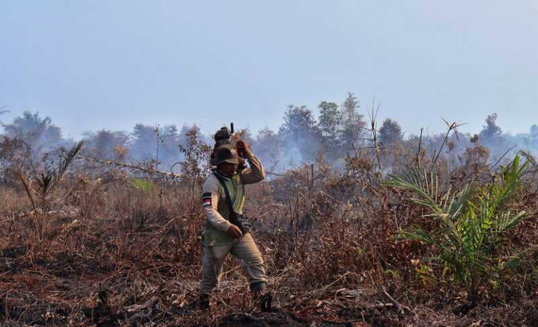 10 Hektare Hutan Cagar Biosfer di Riau Diduga Dibakar untuk Kebun Sawit