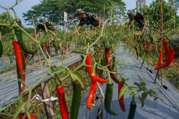Skema Closed Loop Dorong Stabilitas Harga Produk Hortikultura