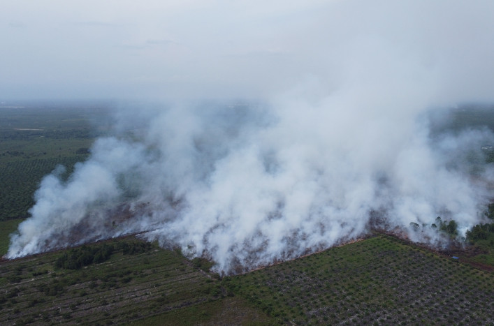 Sudah 12 Hari Hutan di Aceh Terbakar, Api Menjalar Begitu Cepat