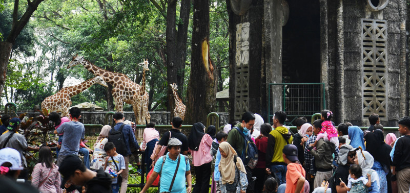 Hari Raya Idul Adha, Taman Margasatwa Ragunan Dipadati Pengunjung Sejak Pagi