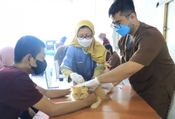 Cegah Rabies, Pemilik Hewan Peliharaan di Kota Tangerang Diminta Rutin Vaksinasi