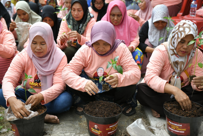 Sukarelawan Ini Ajak Ibu-Ibu di Jakarta Barat Jaga Ketahanan Pangan dengan Menanam Cabai