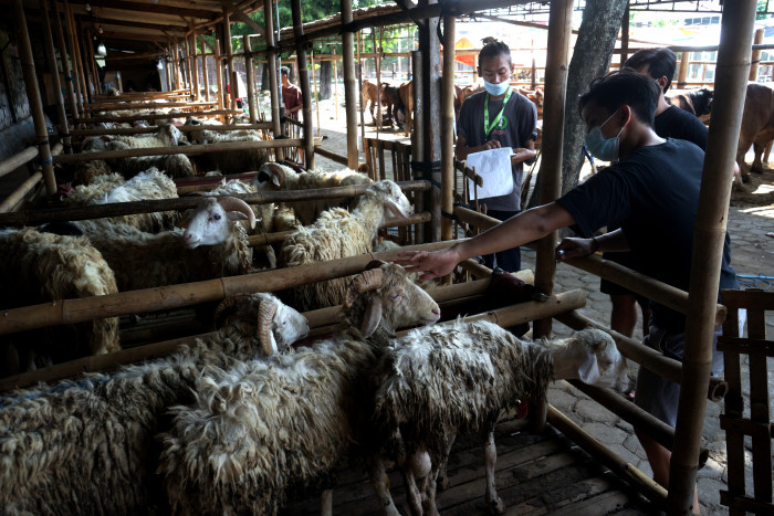 214 Petugas Akan Pantau Penyembelihan Hewan Kurban di Yogyakarta