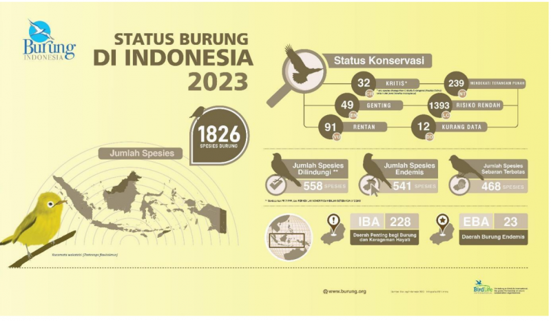 Indonesia Kokohkan Gelar 'Negara dengan Spesies Burung Endemis Terbanyak di Dunia'