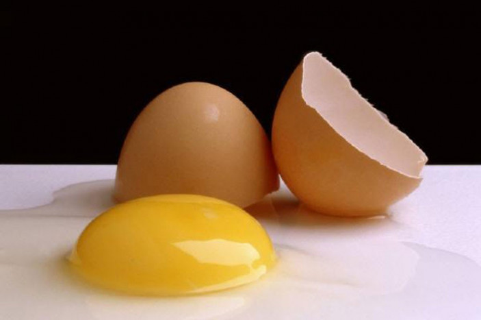 Begini Cara Mudah Membuat Obat Kuat Alami dari Telur dan Madu