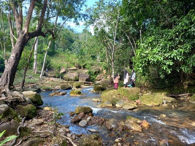 Mengembangkan Ekowisata di Tengah Hutan Meratus