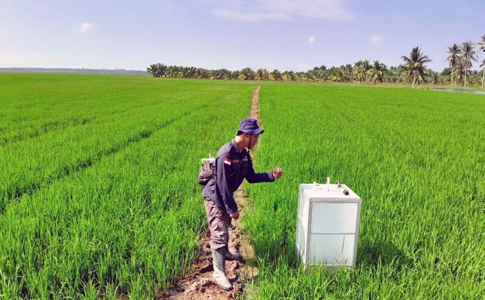 Demplot CSA, Lahan Pertanian Sumsel Tekan Emisi Gas Rumah Kaca