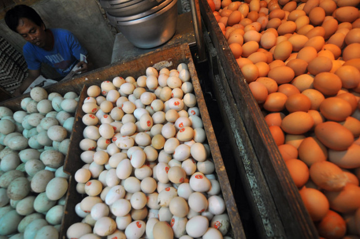 6 Manfaat Telur Kampung Mentah Campur Madu