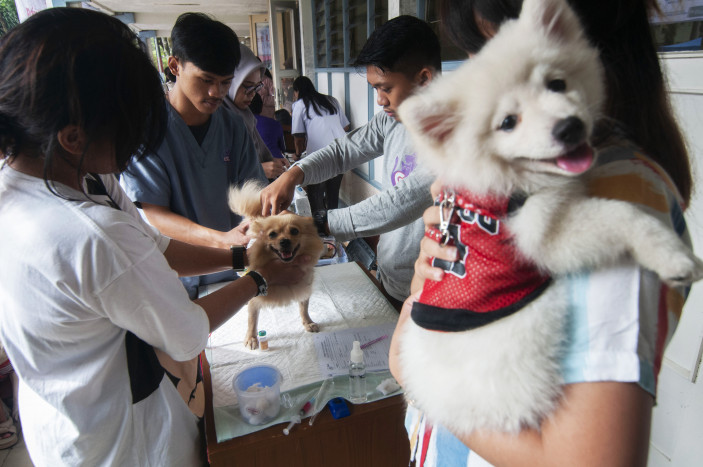 Kemenkes Telah Distribusikan Ratusan Ribu Vaksin Rabies ke Daerah 