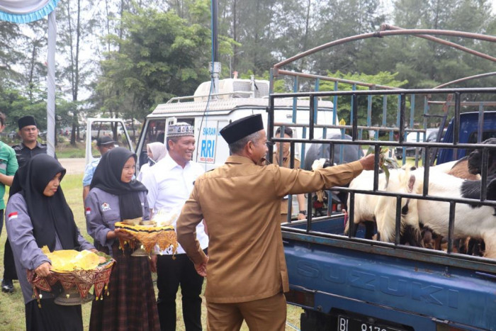 Mifa Bersaudara Salurkan 80 Hewan Kurban di Aceh Barat