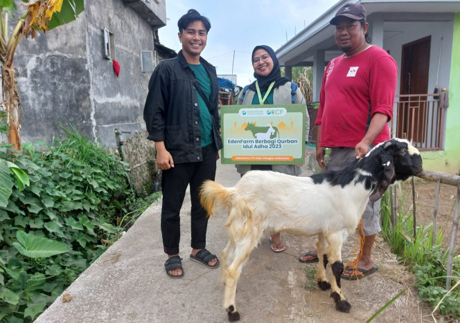 EdenFarm Donasi Hewan Kurban untuk Mitra Tani di 9 Wilayah Pertanian Garapan