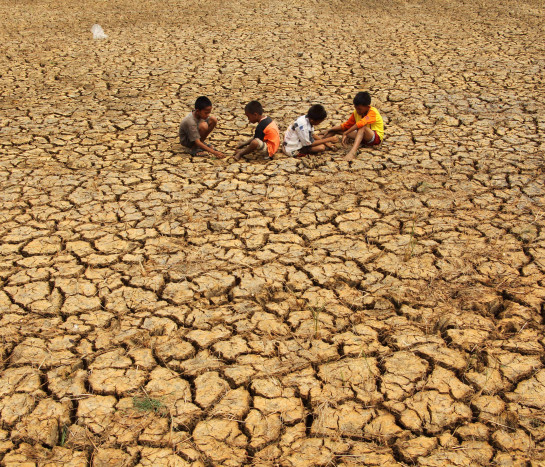 BMKG: El Nino Ancam Produktivitas Pertanian