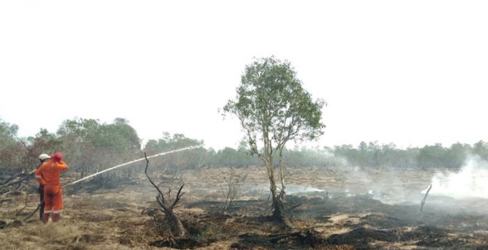 Waspadai Kebakaran Hutan dan Lahan di NTT