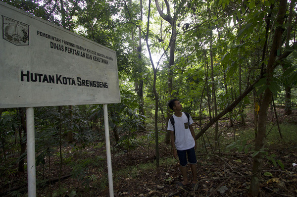 Kerap jadi Tempat Asusila, Hutan Kota di DKI Dinilai Tak Miliki Daya Tarik