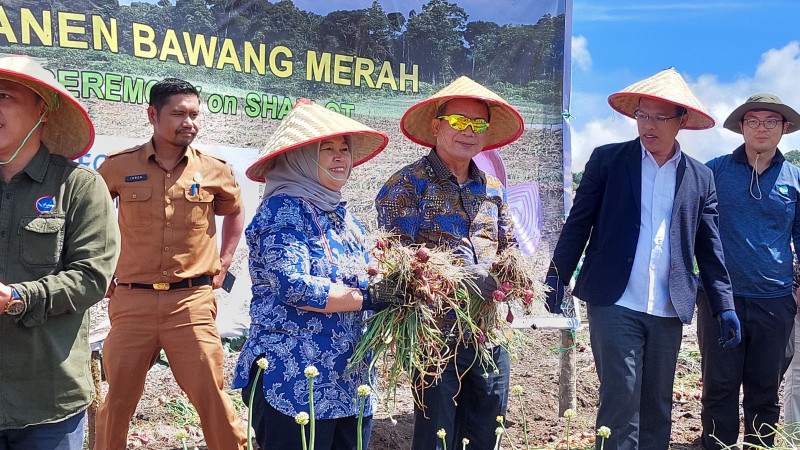 Panen Naik Hingga 2,5 Kali Lipat, Sumut jadi Basis Produksi Pangan