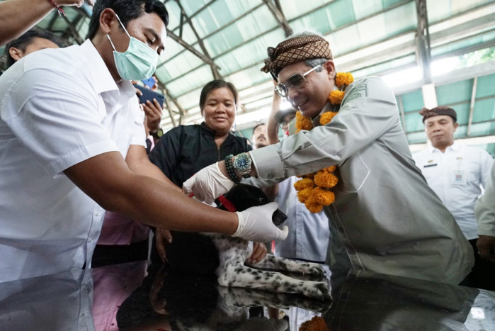 Wamentan Harvick Ajak Masyarakat Bali Berperan Aktif Kendalikan Rabies 