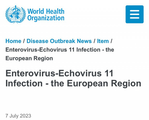 Echovirus 11 Merebak di Eropa, Ini Gejala yang Perlu Diwaspadai