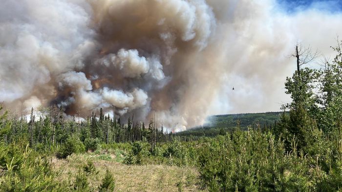 Kebakaran Hutan Hebat Kanada di Luar Perkiraan