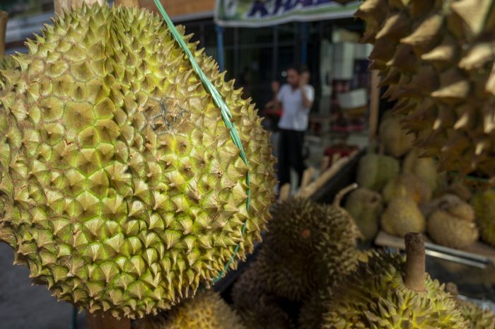 UMKM Parigi Moutong Pasok 20 Ton Durian ke Thailand