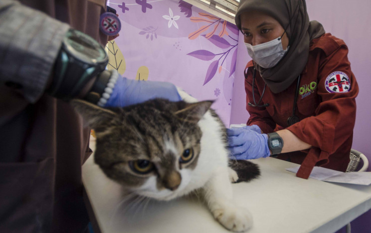DKPP Kota Bandung Adakan Vaksinasi Anti Rabies Gratis