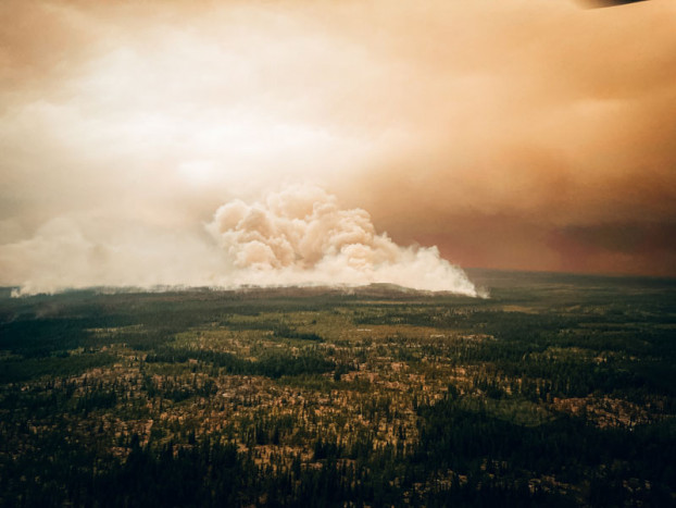 Pilot Helikopter Meninggal Saat Memadamkan Kebakaran Hutan di Kanada