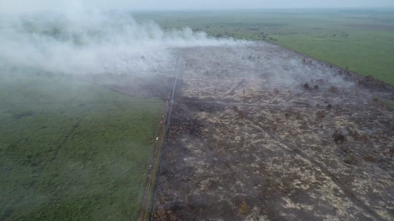 Kebakaran Hutan Ekstrem Melanda Riau, Sangat Mudah Terbakar