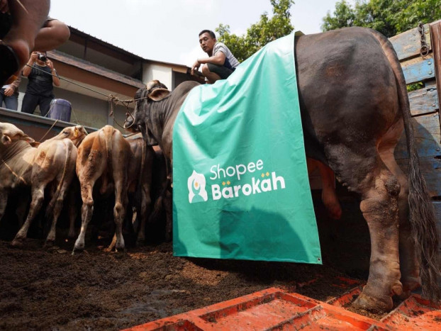 Bersama Lazisnu, Shopee Barokah Berbagi Kurban Sapi Limosin