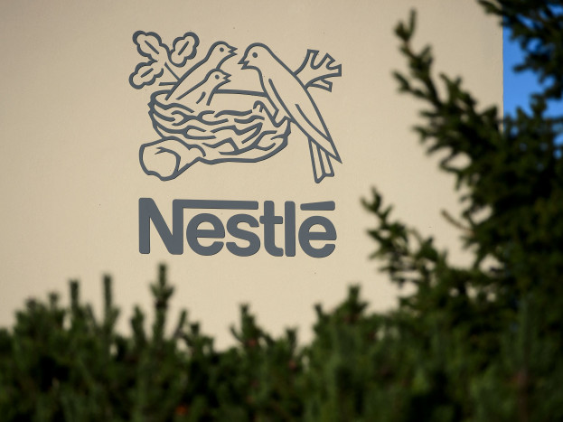 Pertanian Kakao Meluas, Nestle Perkuat Reboisasi Pantai Gading