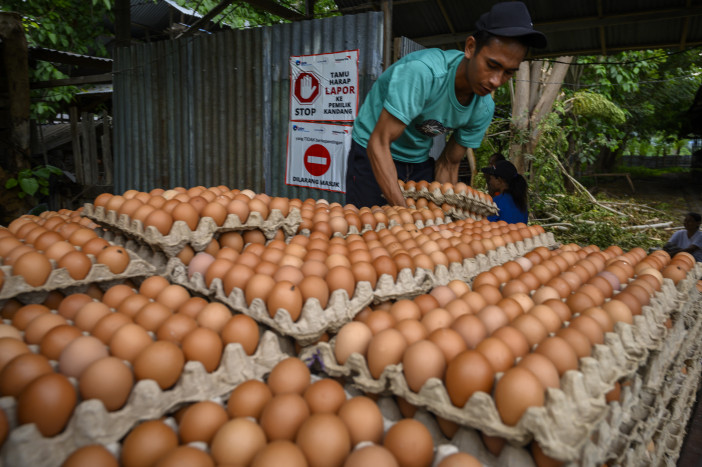Warga Palu Keluhkan Harga Telur Ayam Belum Juga Turun
