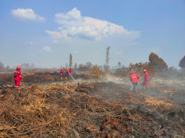 Waspadalah! 2,5 Juta Area Lahan Gambut Indonesia Rentan Terbakar
