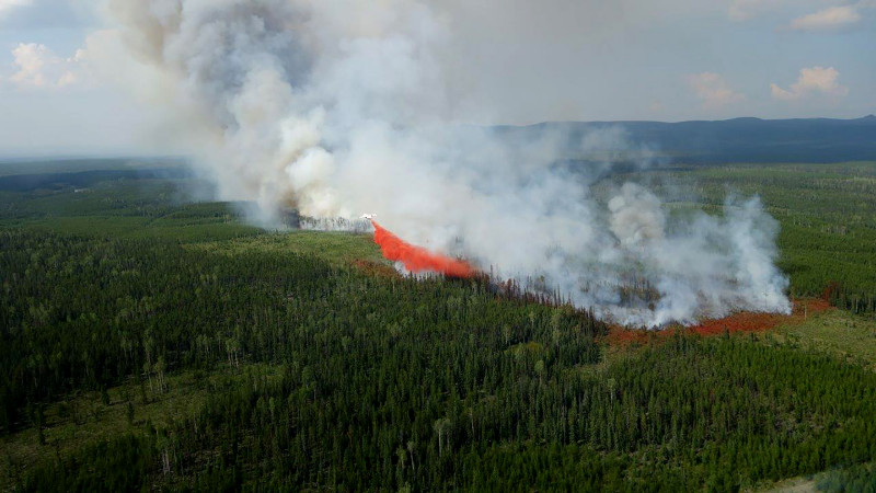 Kebakaran Hutan Meluas, Kanada Kembali Evakuasi Rakyatnya