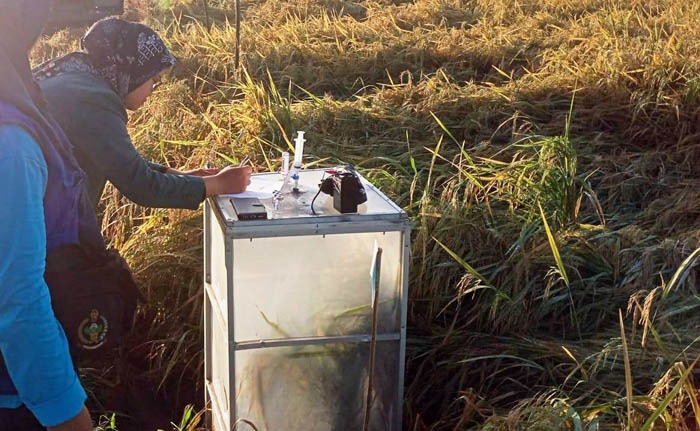 Petani Takalar Melek CSA, Panen Padi Naik dan Ukur Emisi Gas Rumah Kaca