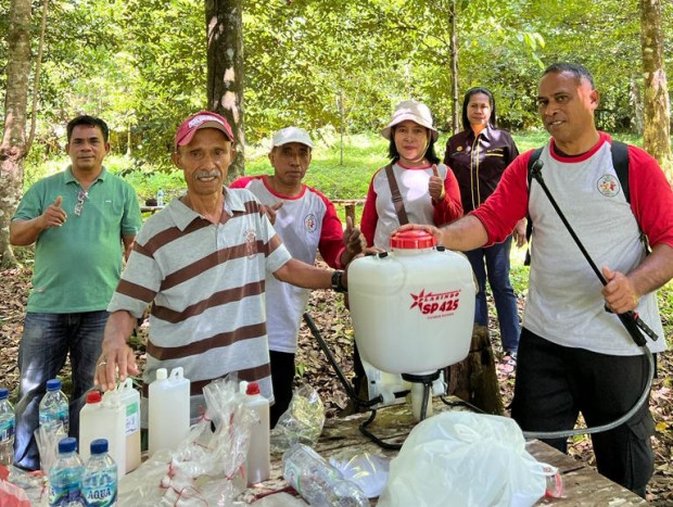 Kementan Sigap Berikan Solusi Jitu Tangani Serangan Hama dan Penyakit Pala