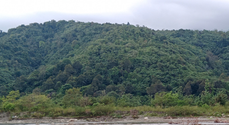 Seluas 18 Ribu Hektare Hutan di Pidie Segera Ditetapkan Jadi Hak Adat Mukim