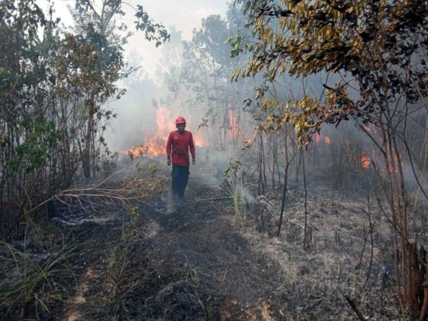 Karhutla Mulai Meluas Di Sejumlah Titik di Palangka Raya  