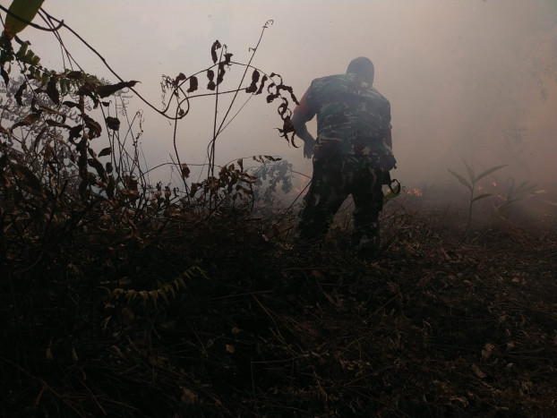 Hampir 1.500 Hektare Hutan dan Lahan di Kalsel Terbakar
