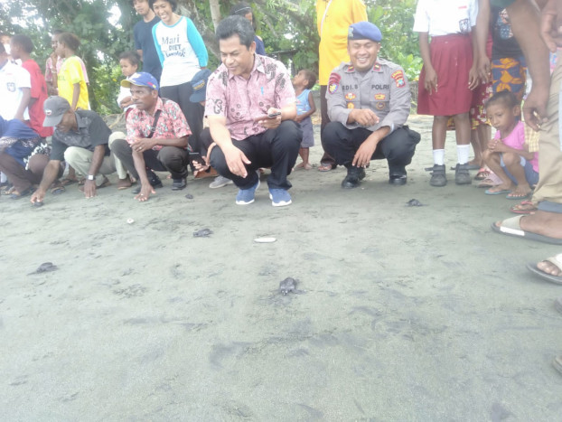 Mamarek Wauw Bantu Cegah Perburuan Penyu Ilegal