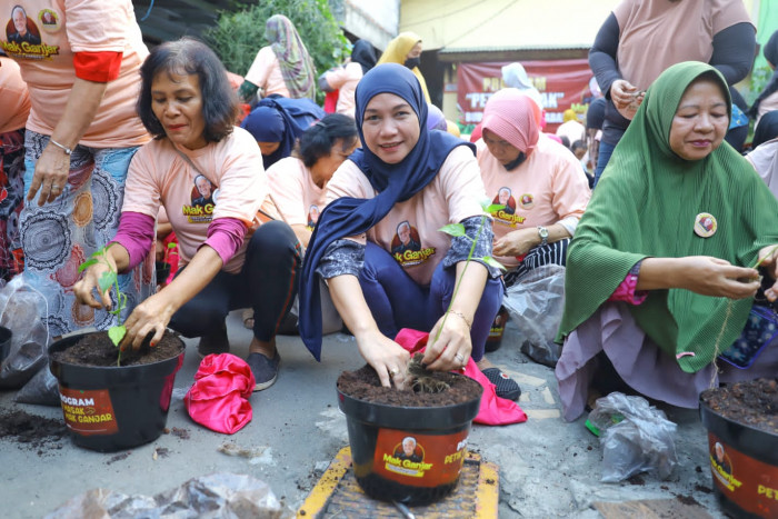 Antisipasi Kenaikan Harga Cabai, Sukarelawan Ini Berikan Bibit Cabai di  Jakarta Timur