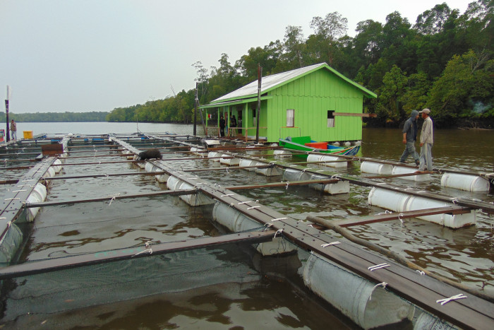 Mahasiswa UNY Ciptakan Deteksi Pencurian Kolam Apung Ikan Kerapu