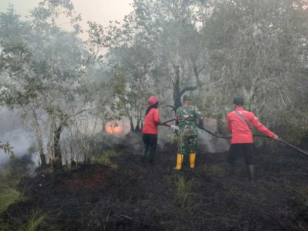 Kebakaran Lahan di Desa Tanjung Seteko Berhasil Dipadamkan