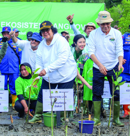 Peran Mangrove Jaga Kedaulatan NKRI