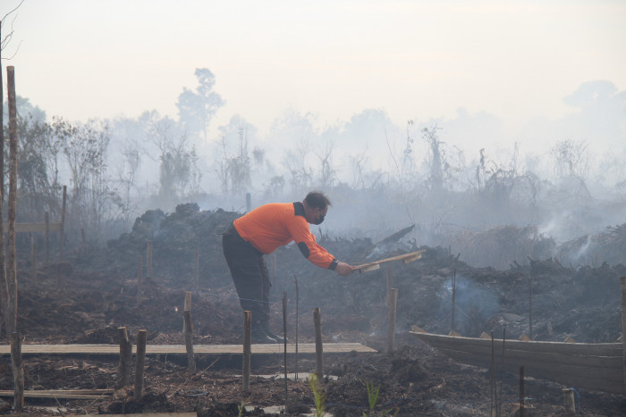 BNPB Arahkan Masyarakat Kurangi Buka Lahan dengan Cara Dibakar