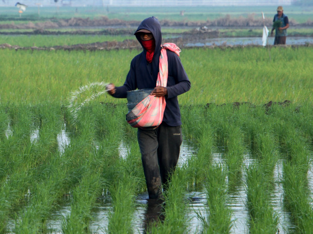 Belanja Pemerintah Pusat dan Daerah masih di Bawah 50%