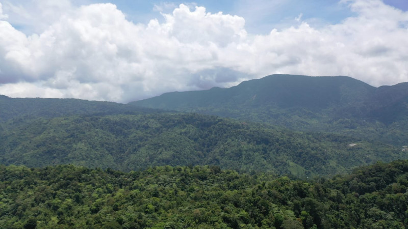 8 Kawasan Hutan Adat Mukim Aceh Resmi Diakui Negara  