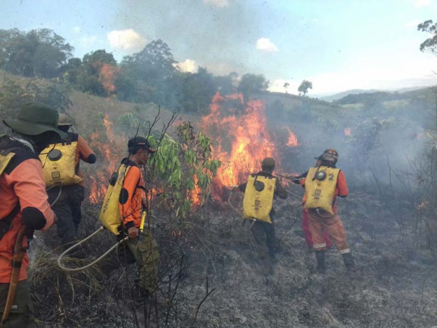 Hutan dan Lahan di Kalimantan Selatan Terus Terbakar