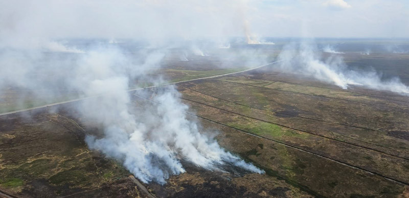 Puluhan Hektare Areal Konservasi Bekantan PT AGM Terbakar