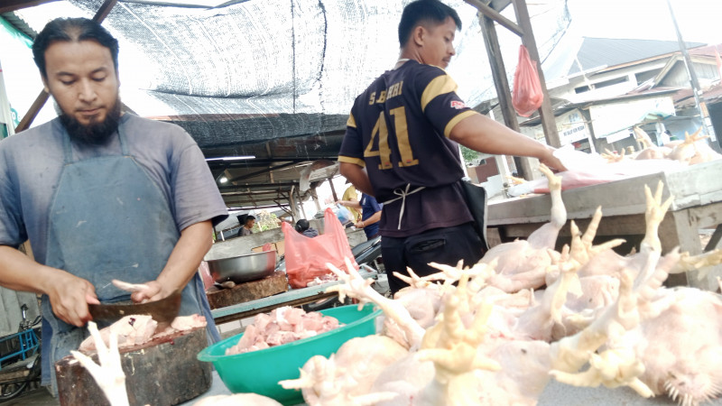 Jelang Maulid Harga Ayam Potong Mulai Meningkat di Aceh