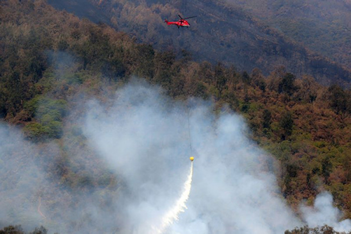 Kebakaran Hanguskan 20 Hektare Lereng Gunung Ijen