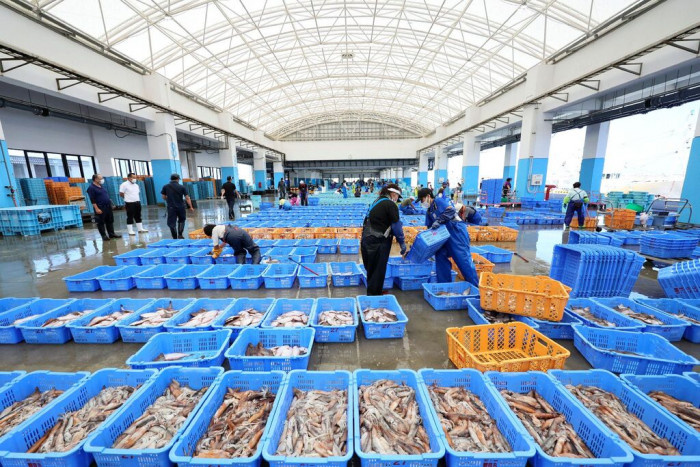 Rusia Pertimbangkan Ikuti Tiongkok untuk Larang Impor Makanan Laut Jepang