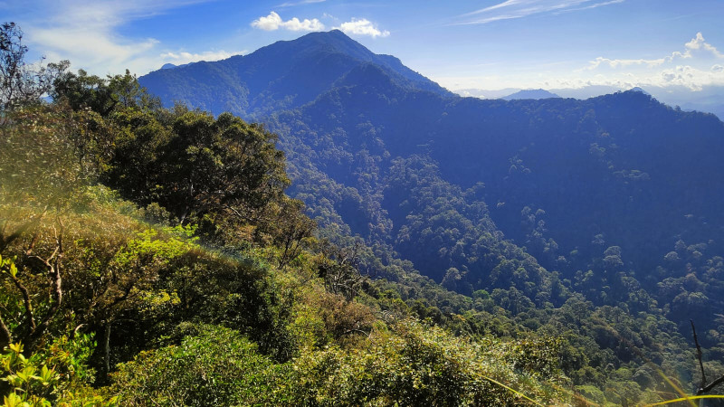  Hutan Tropis di Gunung Rorokoan masih Terjaga